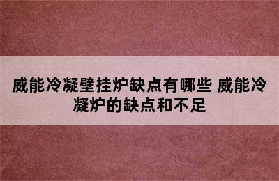 威能冷凝壁挂炉缺点有哪些 威能冷凝炉的缺点和不足